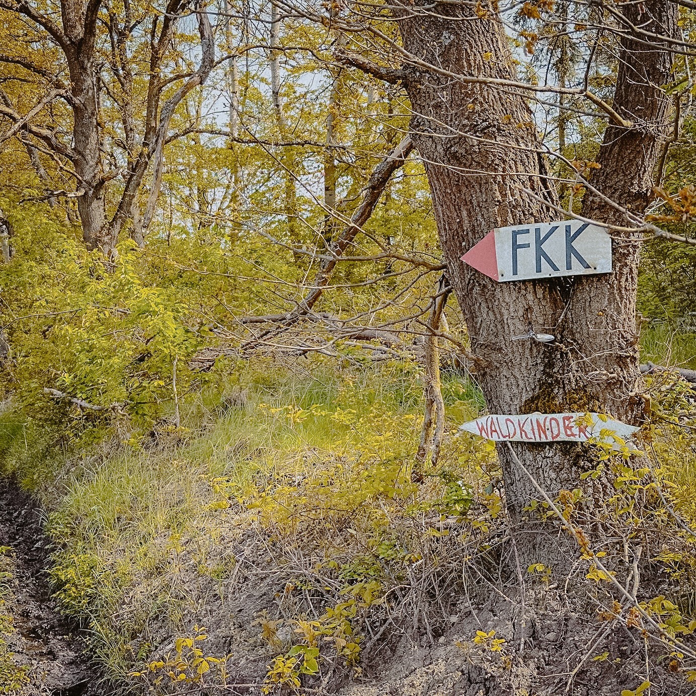 Hier noch ein kleiner Nachtrag zur Tour de Forêt Runde 3 …
… free your mind and ride!