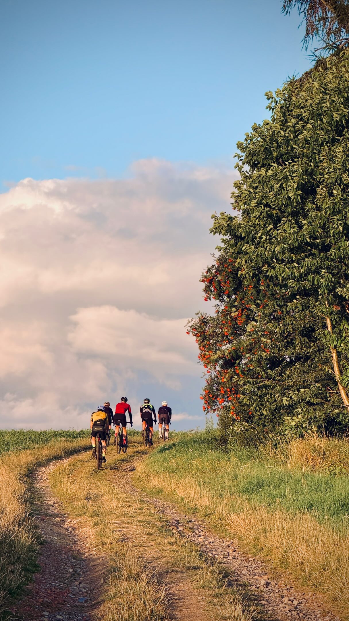 Feierabend Gravel 🌳 22. Juli 2026